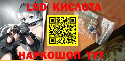 прущие грибы Усть-Илимск