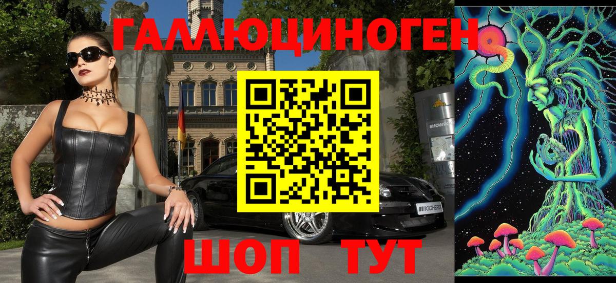 Галлюциногенные грибы Psilocybine cubensis Барнаул